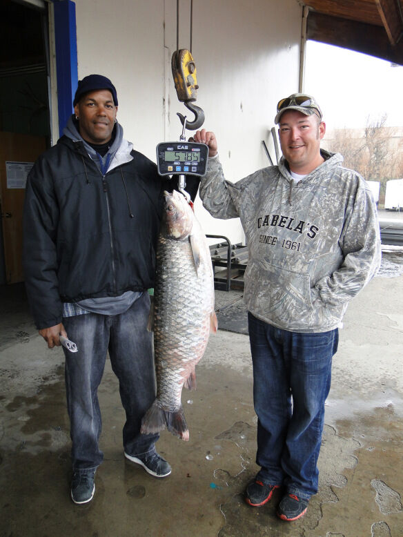 fish record 2a.jpg
